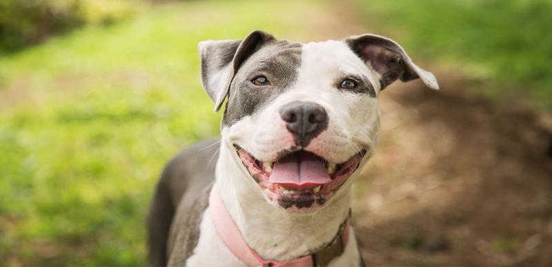 Analiza postaci i wątków fabularnych