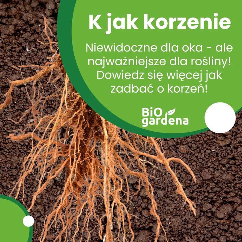 Analiza fabuły filmu Korzenie