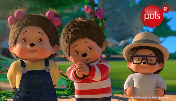 Streaming online Puls 2