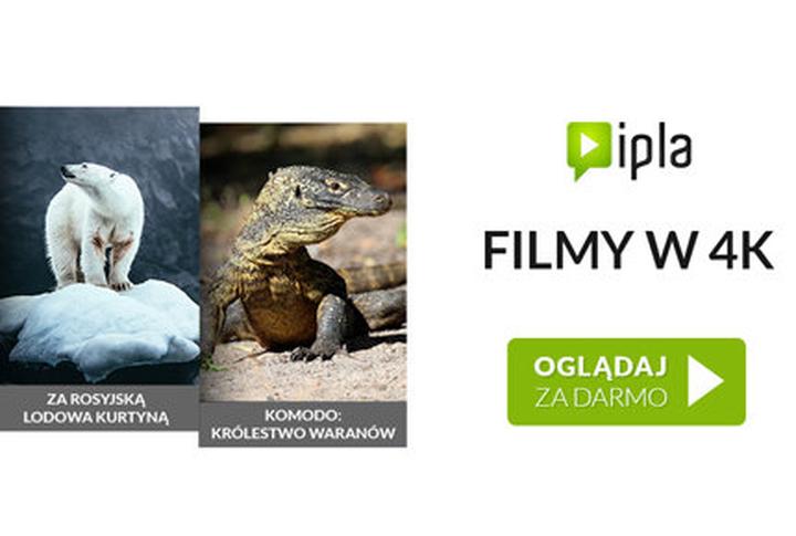 Ipla na telewizorze Samsung