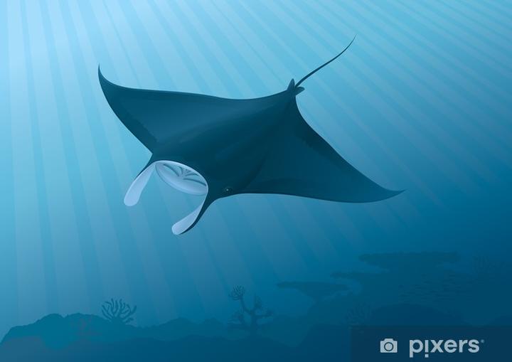 Prosty sposób na włączenie internetu w telewizorze Manta